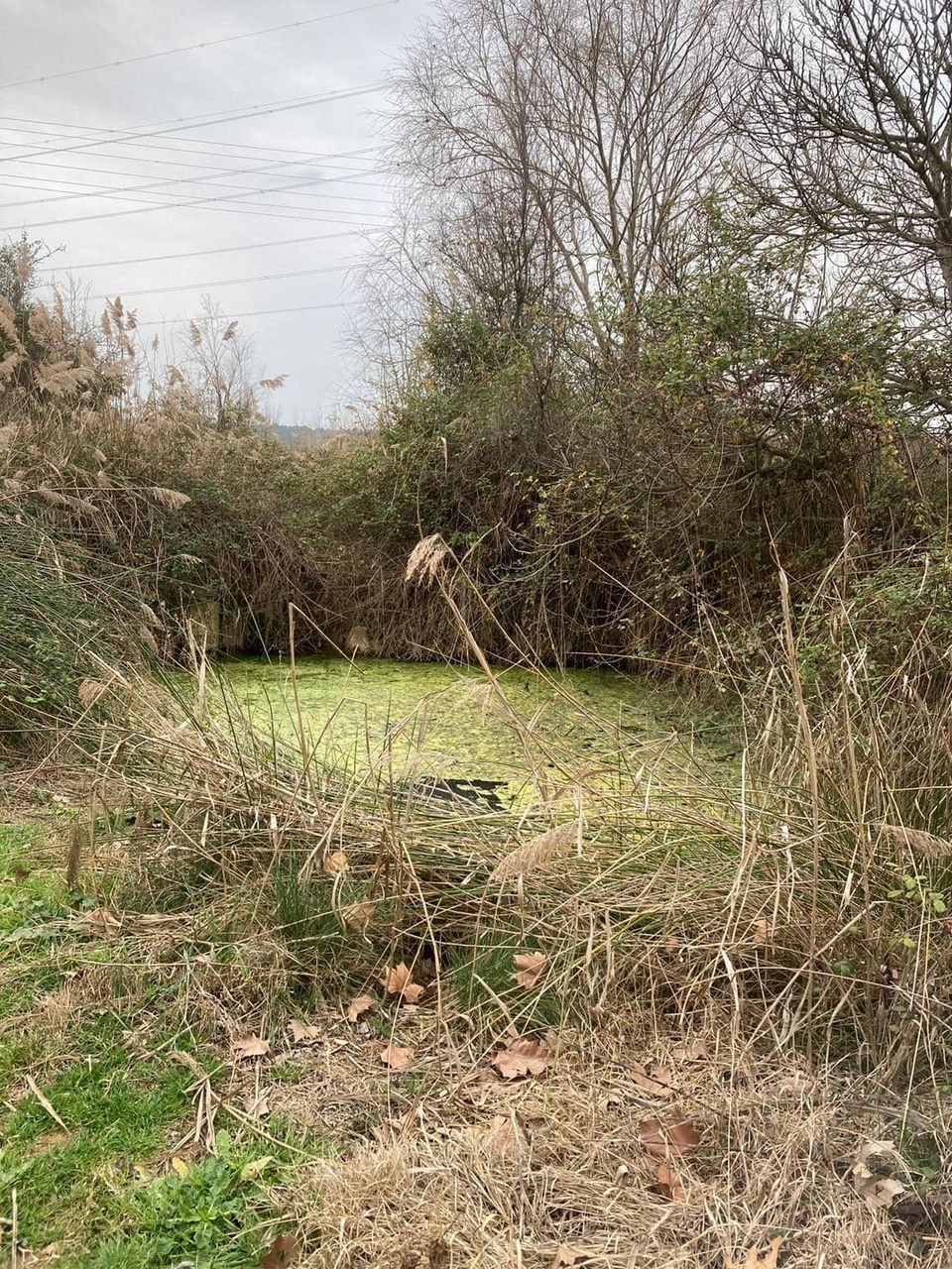 Protejamos nuestro patrimonio natural La Canaleja. ‣ Activa Chiva